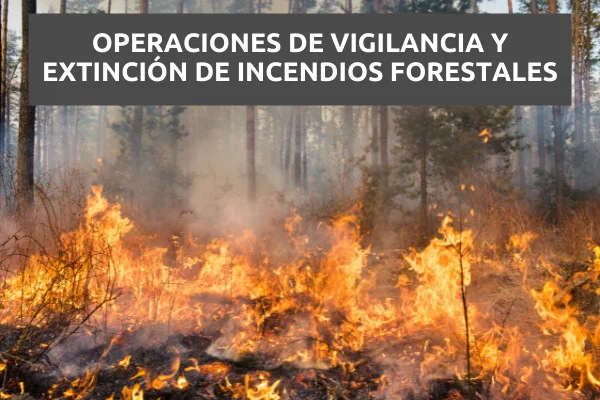 Operaciones de vigilancia y extinción de incendios forestales